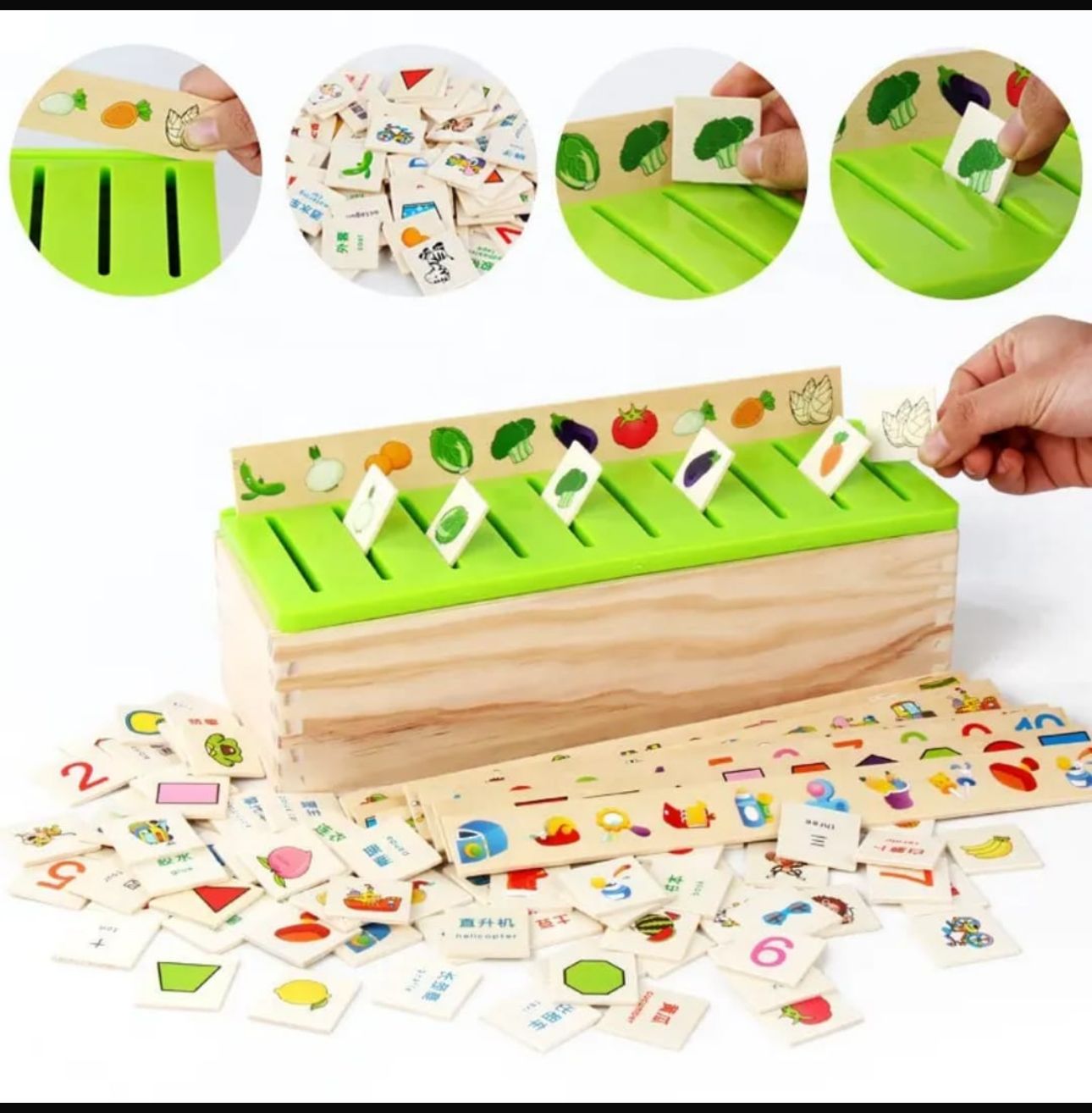 Wooden Montessori Classification Box