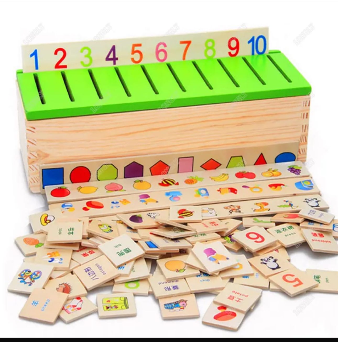 Wooden Montessori Classification Box